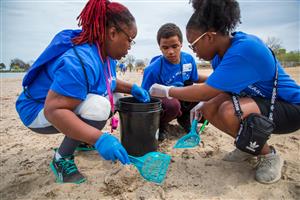 Trash Clean up on Edgewater Beach